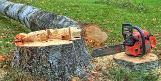 Best Stump Grinding and Removal  in Northport, NY